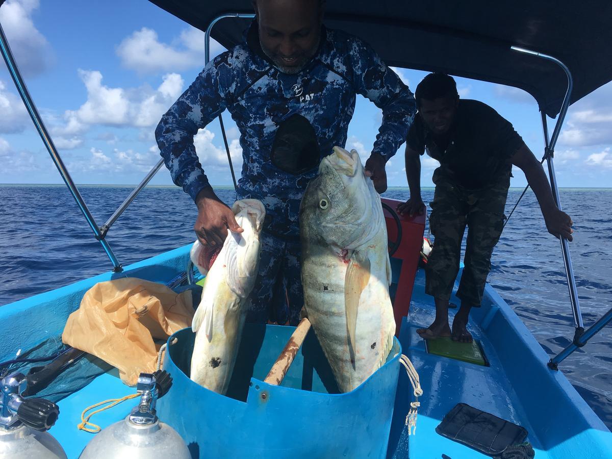 Marinabayvilla-Himandhoo Eksteriør bilde